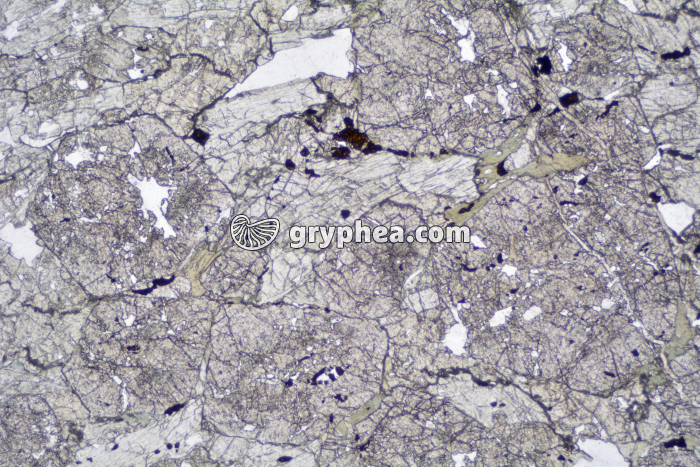 Eclogite LPNA x6,3 - gryphea.org